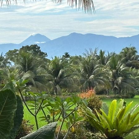 Sumatra Expedition Lodge บูกิตลาวัง ภายนอก รูปภาพ