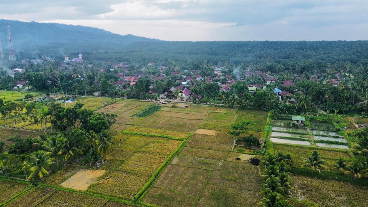 Sumatra Expedition Lodge บูกิตลาวัง ภายนอก รูปภาพ