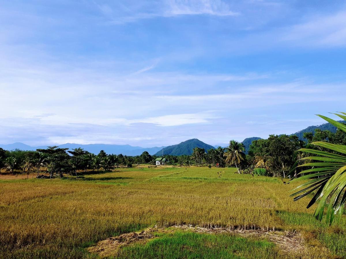 Sumatra Expedition Lodge บูกิตลาวัง ภายนอก รูปภาพ