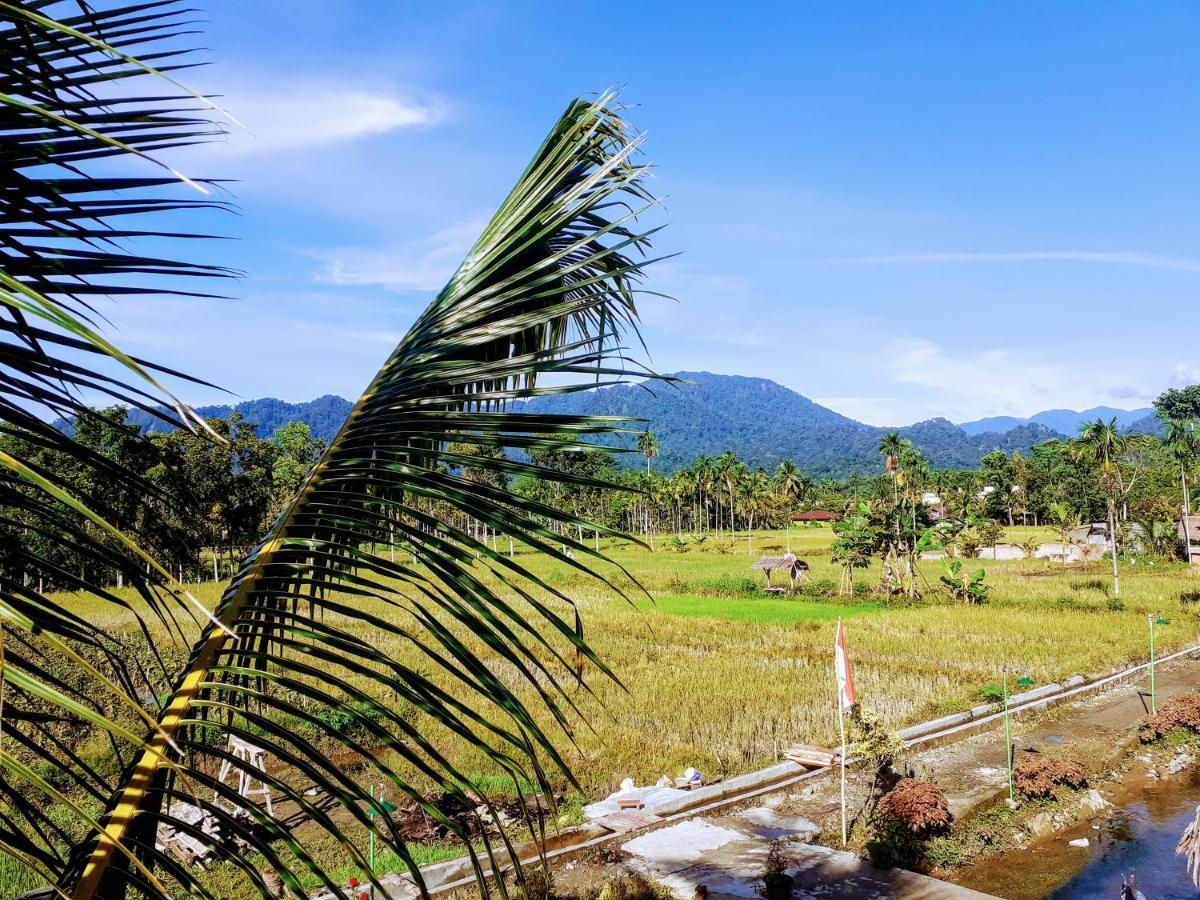 Sumatra Expedition Lodge บูกิตลาวัง ภายนอก รูปภาพ