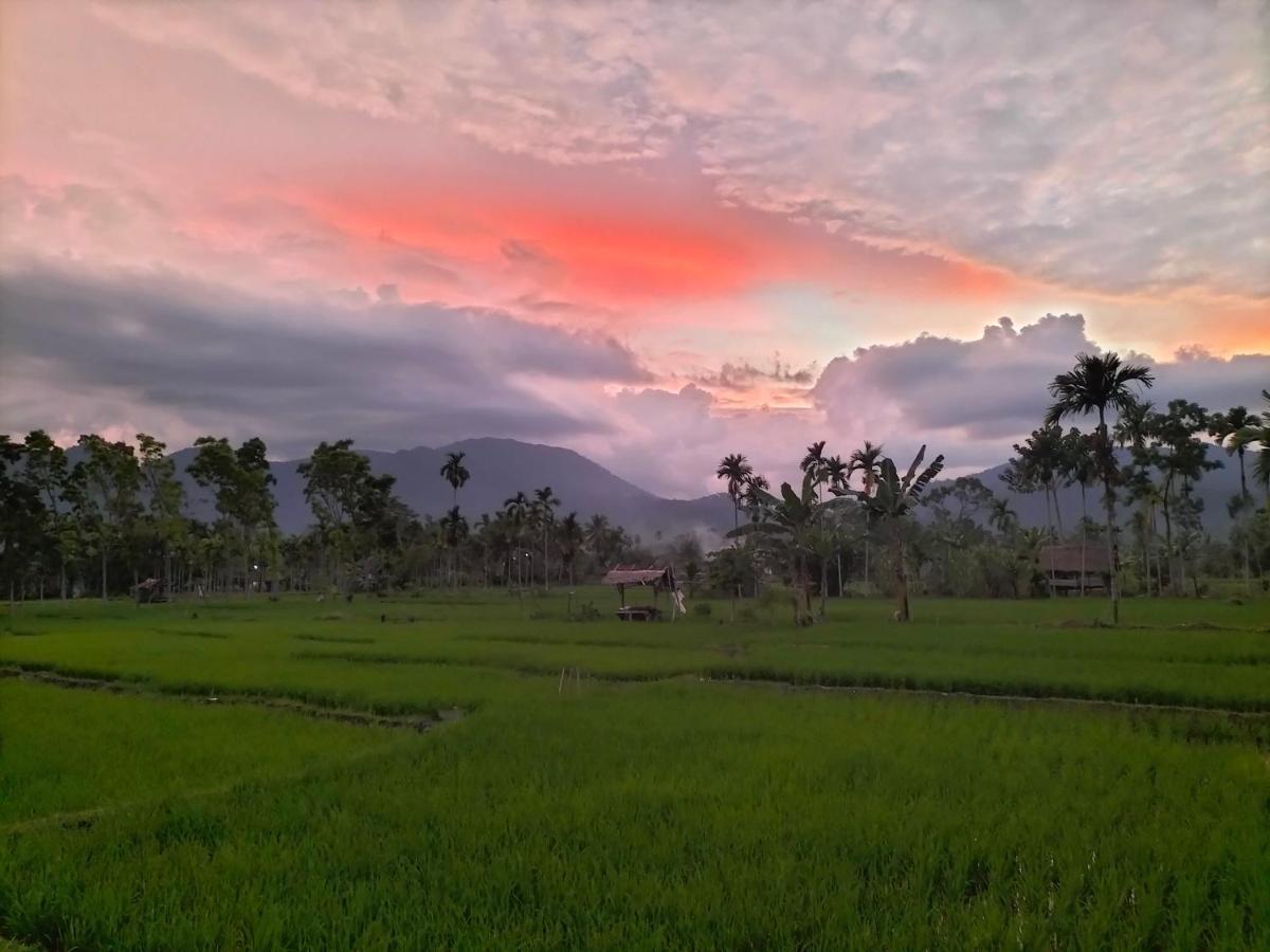 Sumatra Expedition Lodge บูกิตลาวัง ภายนอก รูปภาพ