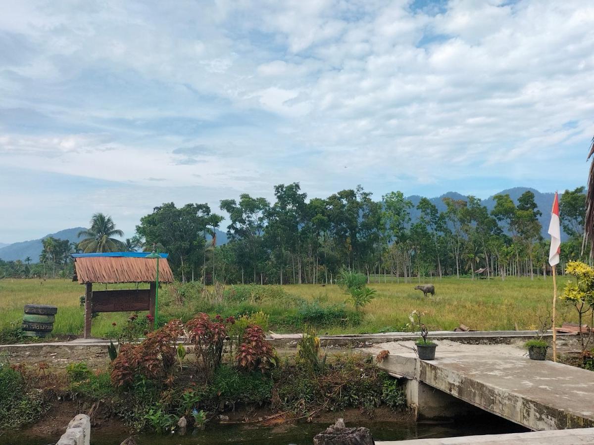 Sumatra Expedition Lodge บูกิตลาวัง ภายนอก รูปภาพ