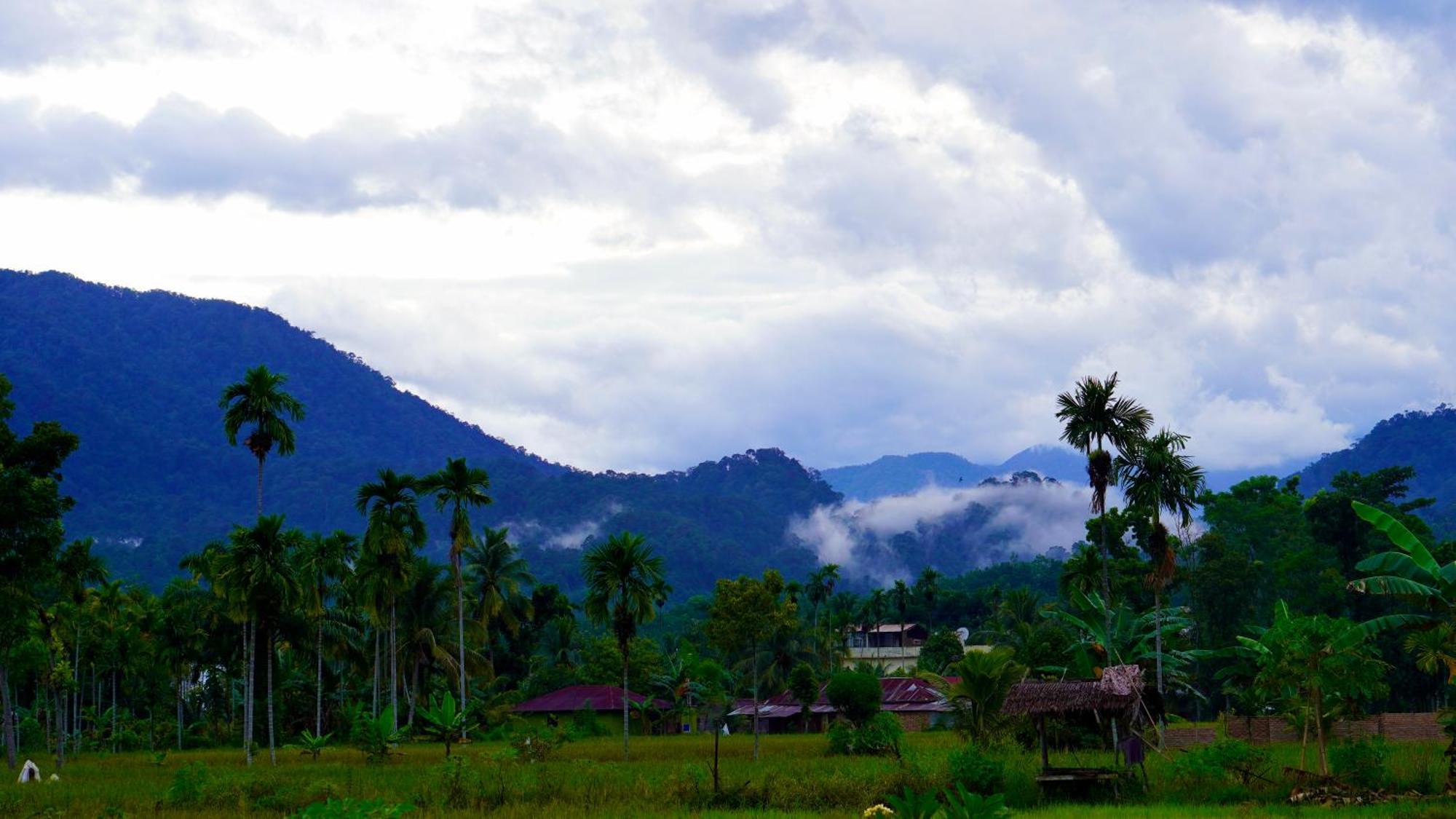 Sumatra Expedition Lodge บูกิตลาวัง ภายนอก รูปภาพ