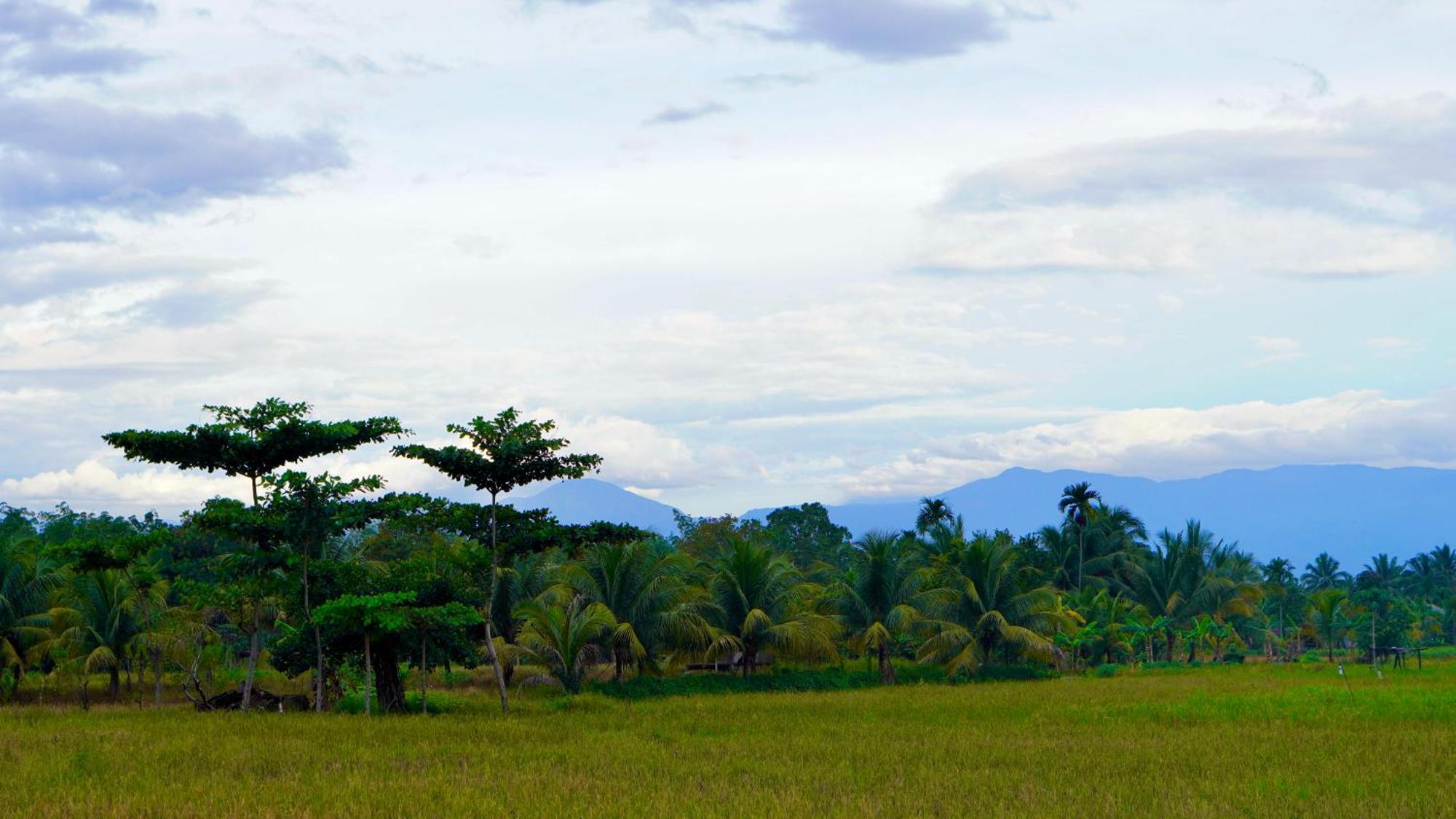 Sumatra Expedition Lodge บูกิตลาวัง ภายนอก รูปภาพ